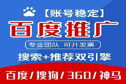 某SEM公司广告投放案例：创新广告形式的探索与实践